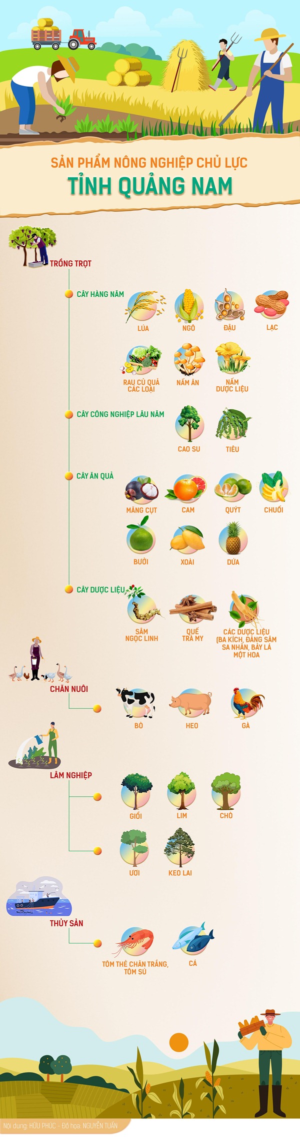 Infographic Sản phẩm nông nghiệp chủ lực tỉnh Quảng Nam