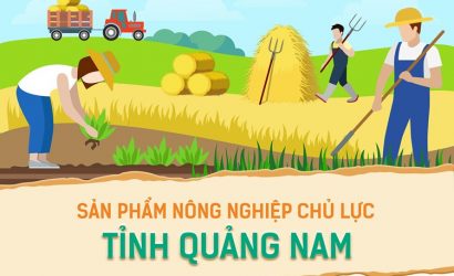 Sản phẩm nông nghiệp chủ lực tỉnh Quảng Nam
