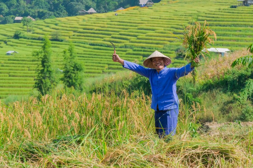 Nông nghiệp bền vững
